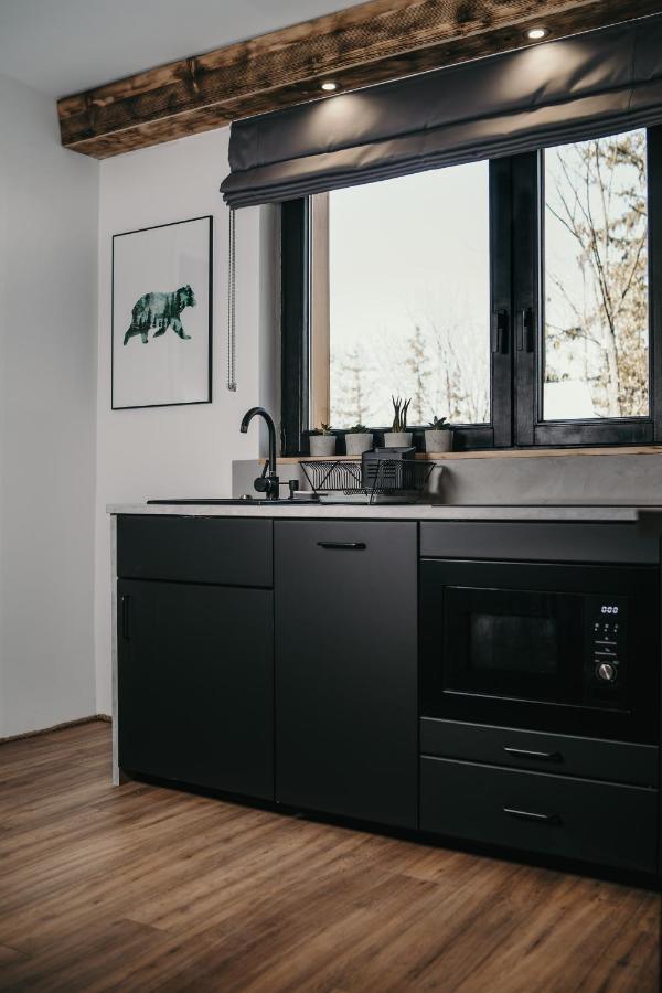 Tatra Loft Apartment Zakopane Exterior photo